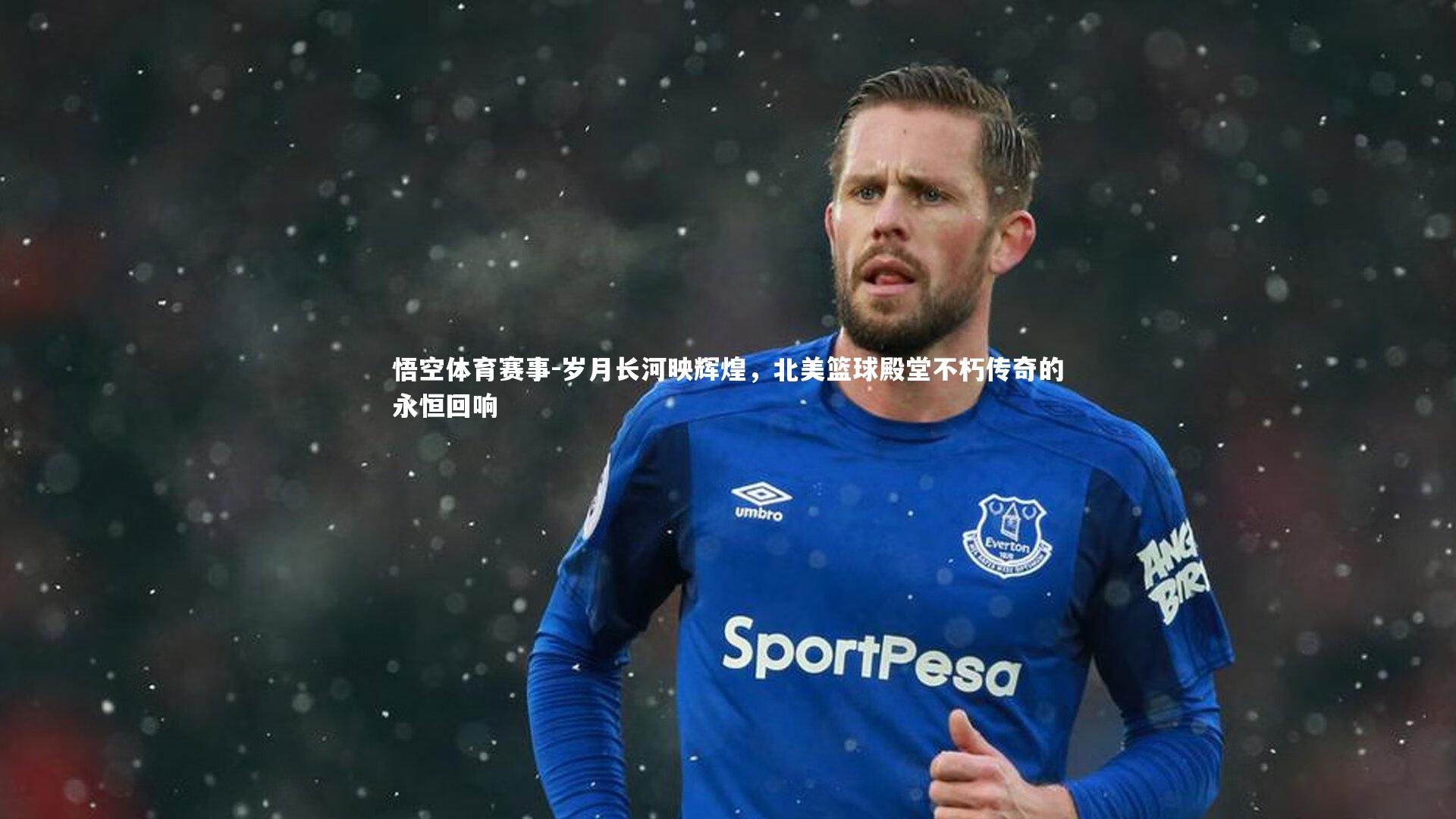 岁月长河映辉煌，北美篮球殿堂不朽传奇的永恒回响